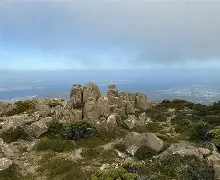 威灵顿队抗衡普利茅斯，坚守阵地