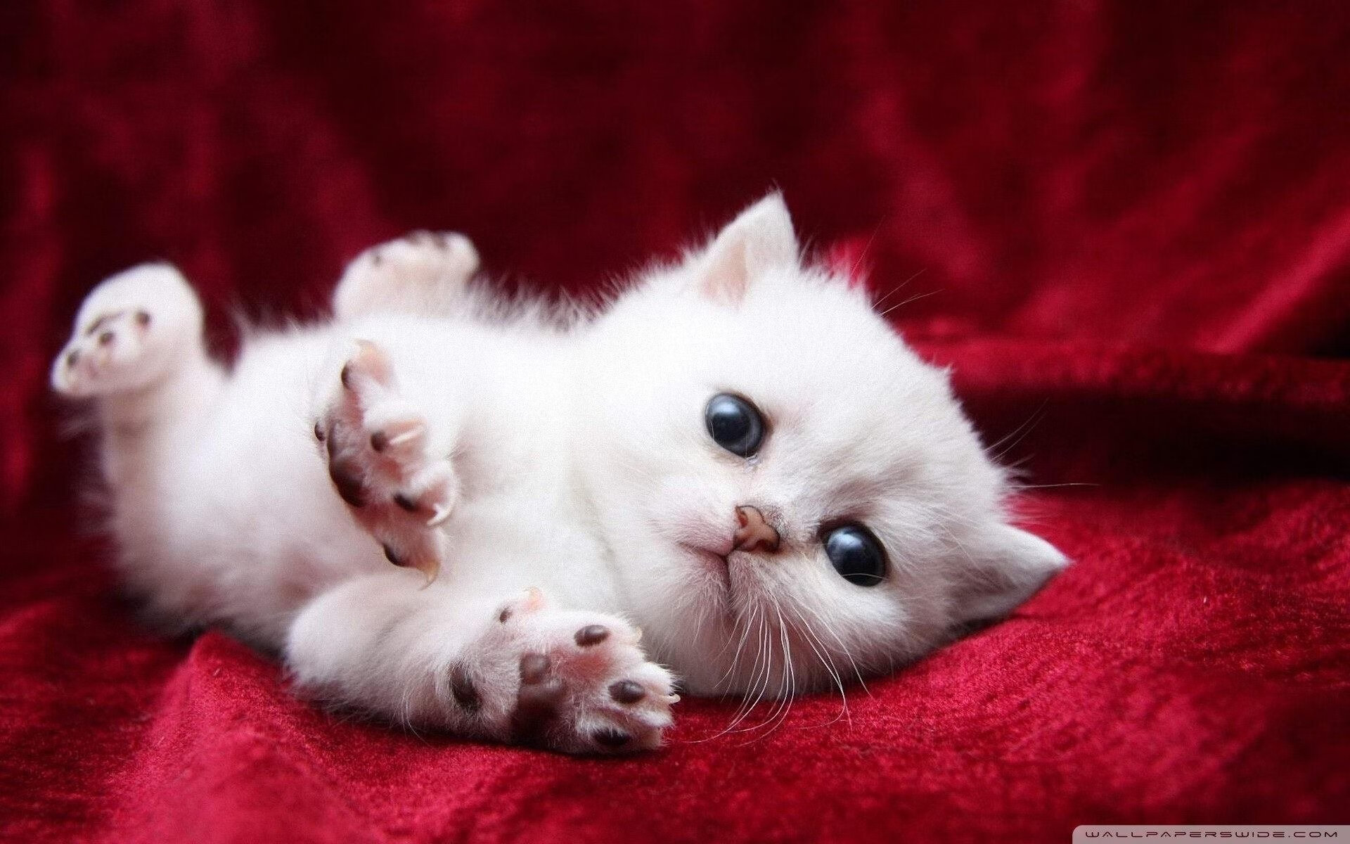 爱游戏官网-上海队强行终结马刺，莫兰特全程高能输出引爆篮球之夜