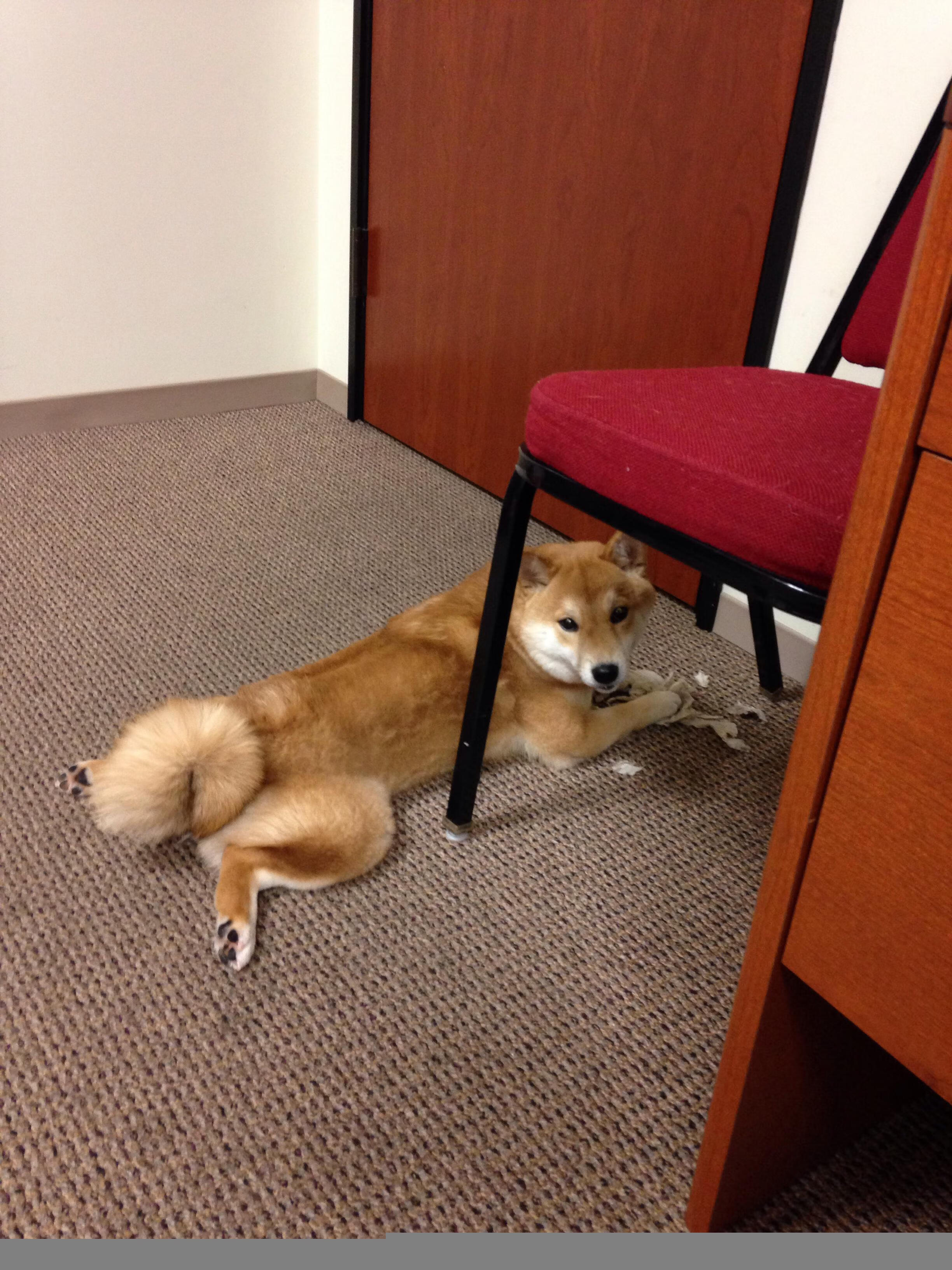 绝杀与传奇,南非加时鏖战力克冰岛,阿坎吉创历史新纪录