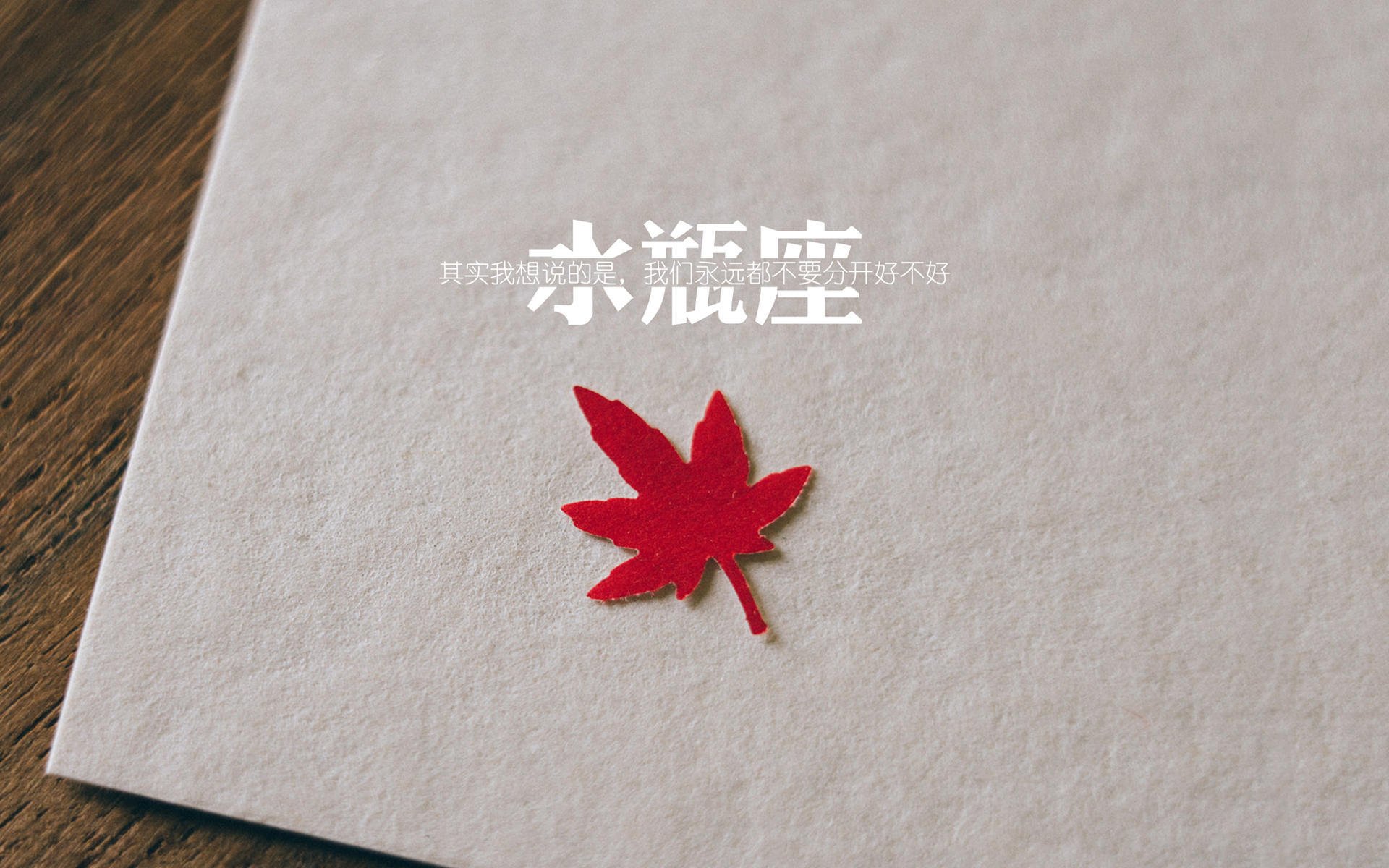 勒沃库森欧战打穿摩纳哥,凯塞多德甲争冠战接管比赛