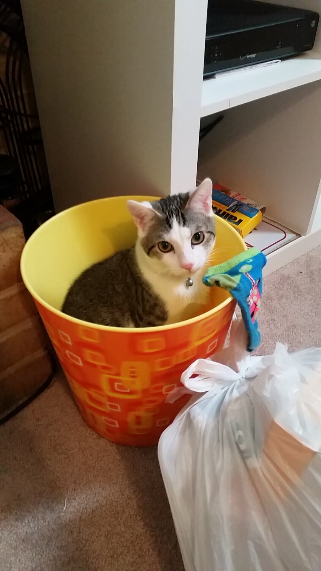 爱游戏tv-终结幻想，掌控节奏，当塞维利亚式足球撞碎秘鲁玫瑰，李刚仁成为节拍器